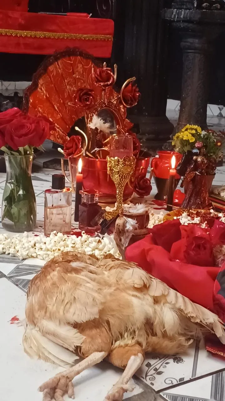 Registro ritualístico com velas, flores e elementos simbólicos